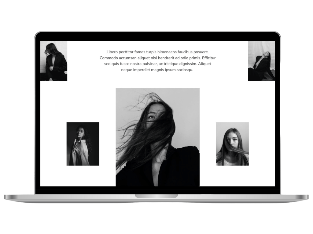 Red Lilly Blocks Library - Image Grid 21