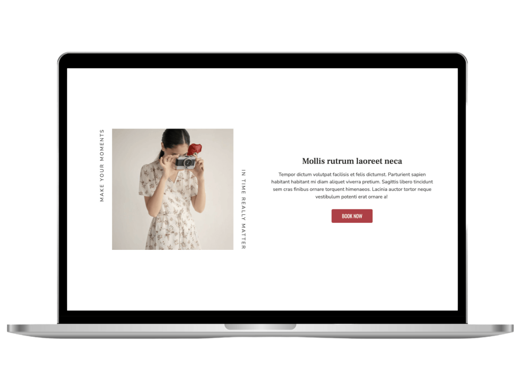 Red Lilly Blocks Library - Image 06