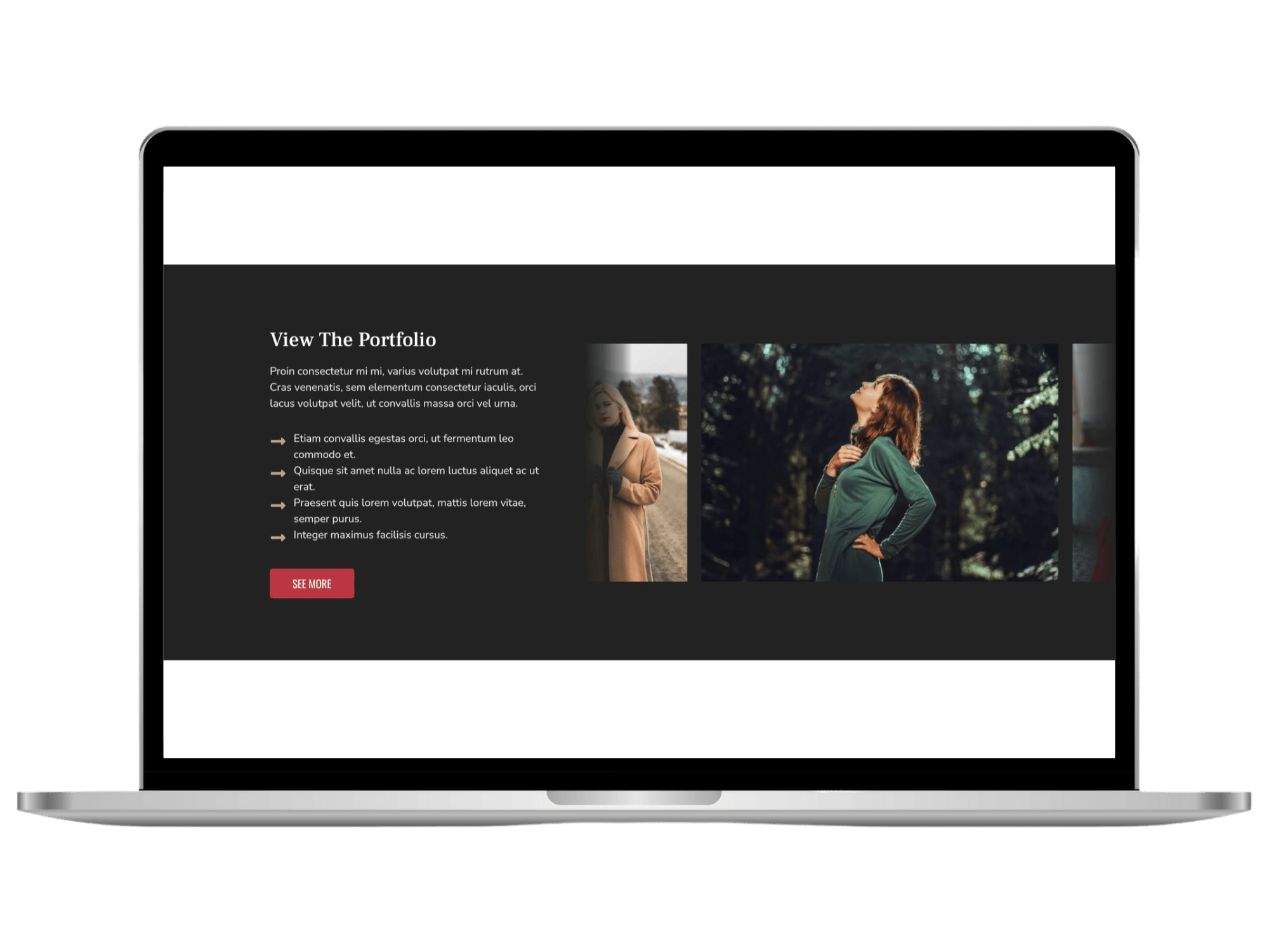 Red Lilly Blocks Library - Marquee 03R